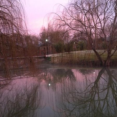 Perricoota Vines Retreat Otel Moama Dış mekan fotoğraf