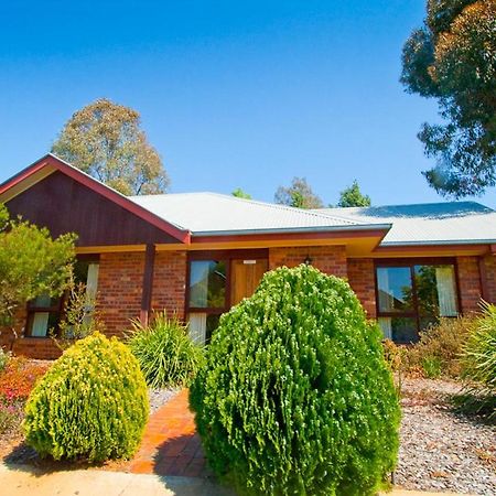 Perricoota Vines Retreat Otel Moama Dış mekan fotoğraf