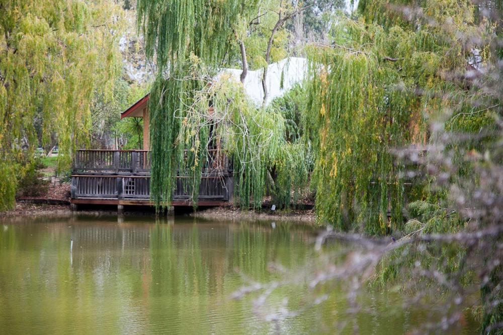 Perricoota Vines Retreat Otel Moama Oda fotoğraf