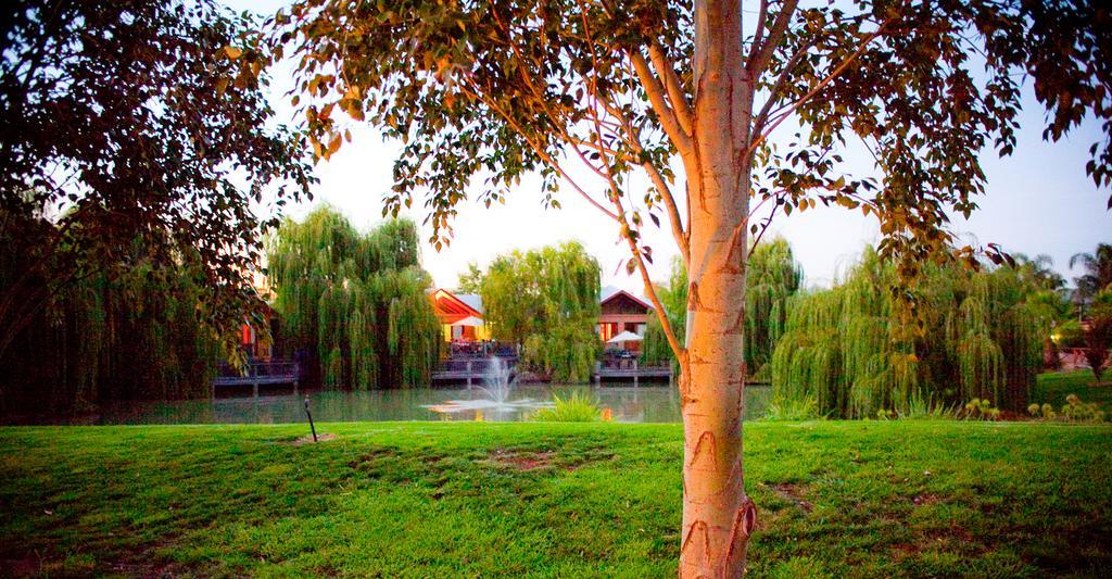 Perricoota Vines Retreat Otel Moama Dış mekan fotoğraf