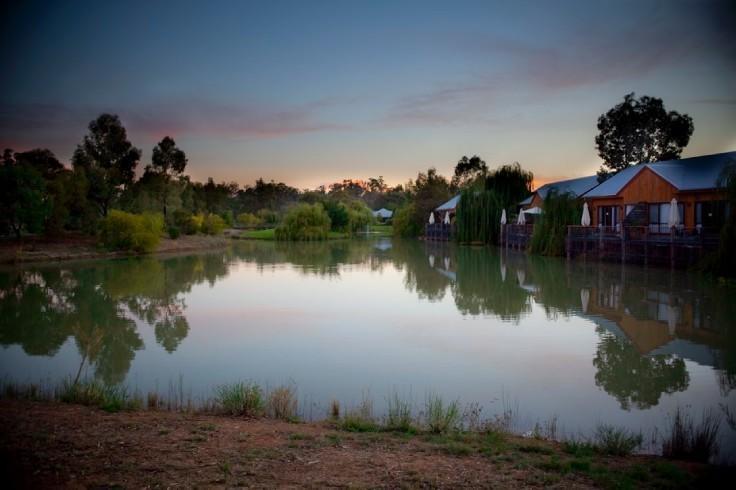 Perricoota Vines Retreat Otel Moama Oda fotoğraf