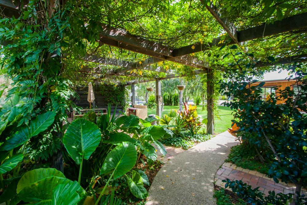 Perricoota Vines Retreat Otel Moama Dış mekan fotoğraf
