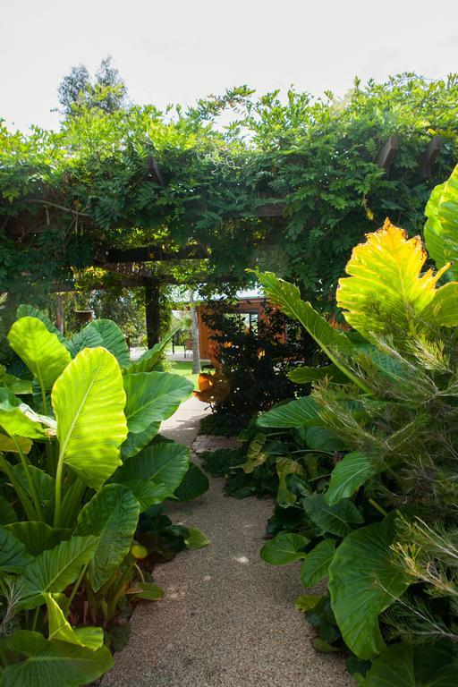 Perricoota Vines Retreat Otel Moama Dış mekan fotoğraf
