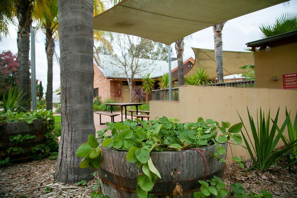 Perricoota Vines Retreat Otel Moama Dış mekan fotoğraf