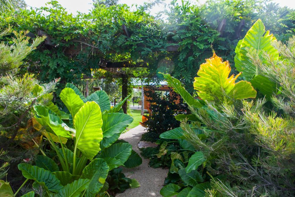 Perricoota Vines Retreat Otel Moama Dış mekan fotoğraf