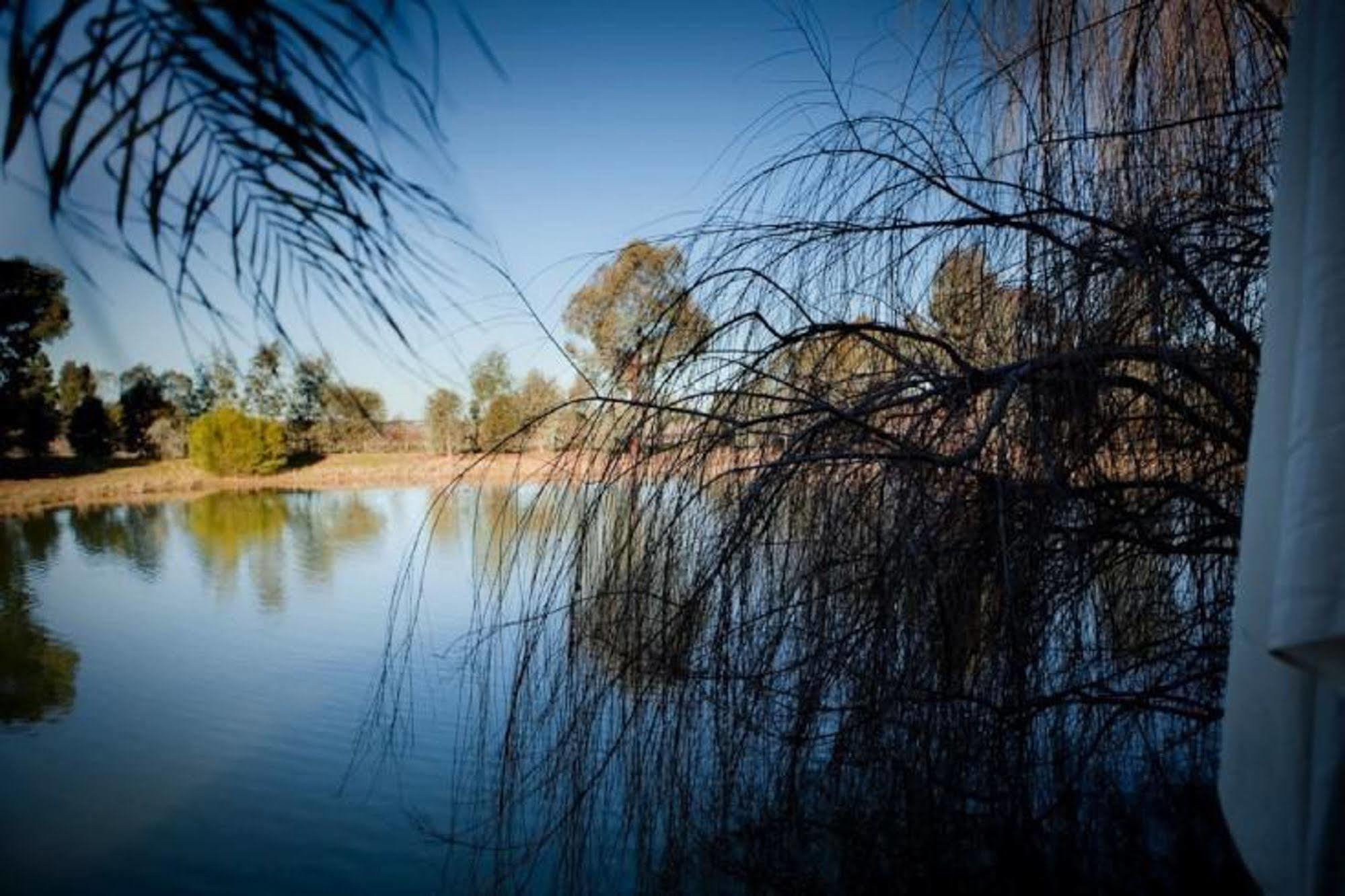 Perricoota Vines Retreat Otel Moama Dış mekan fotoğraf