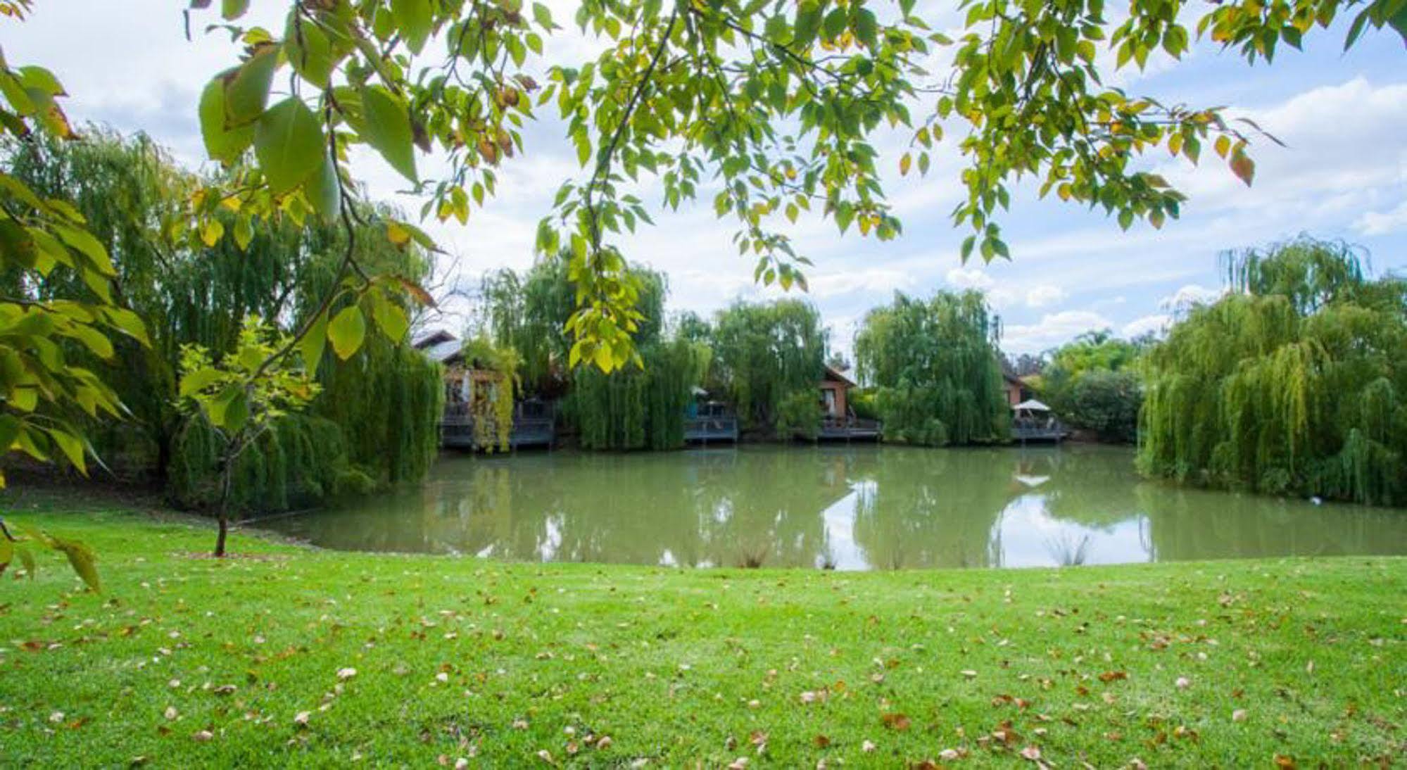 Perricoota Vines Retreat Otel Moama Dış mekan fotoğraf