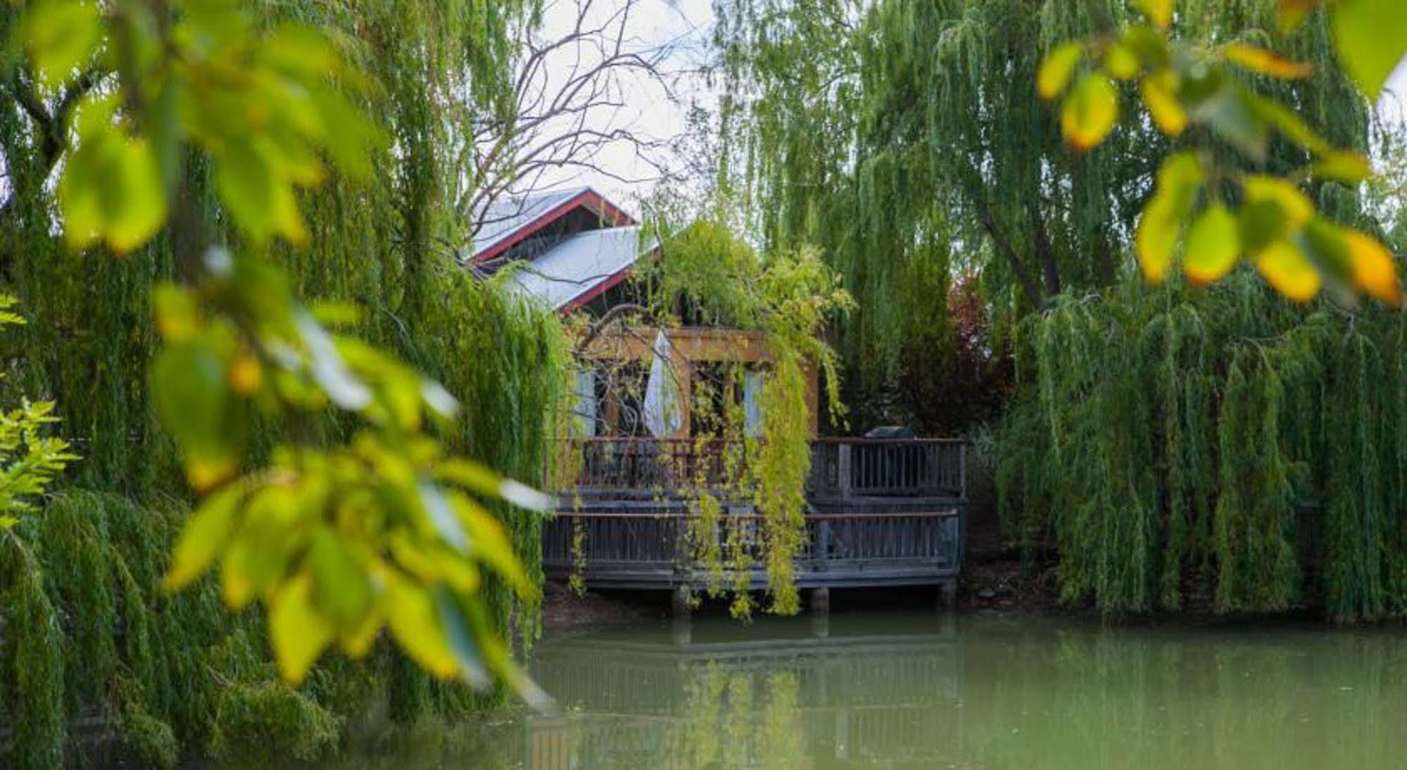 Perricoota Vines Retreat Otel Moama Dış mekan fotoğraf