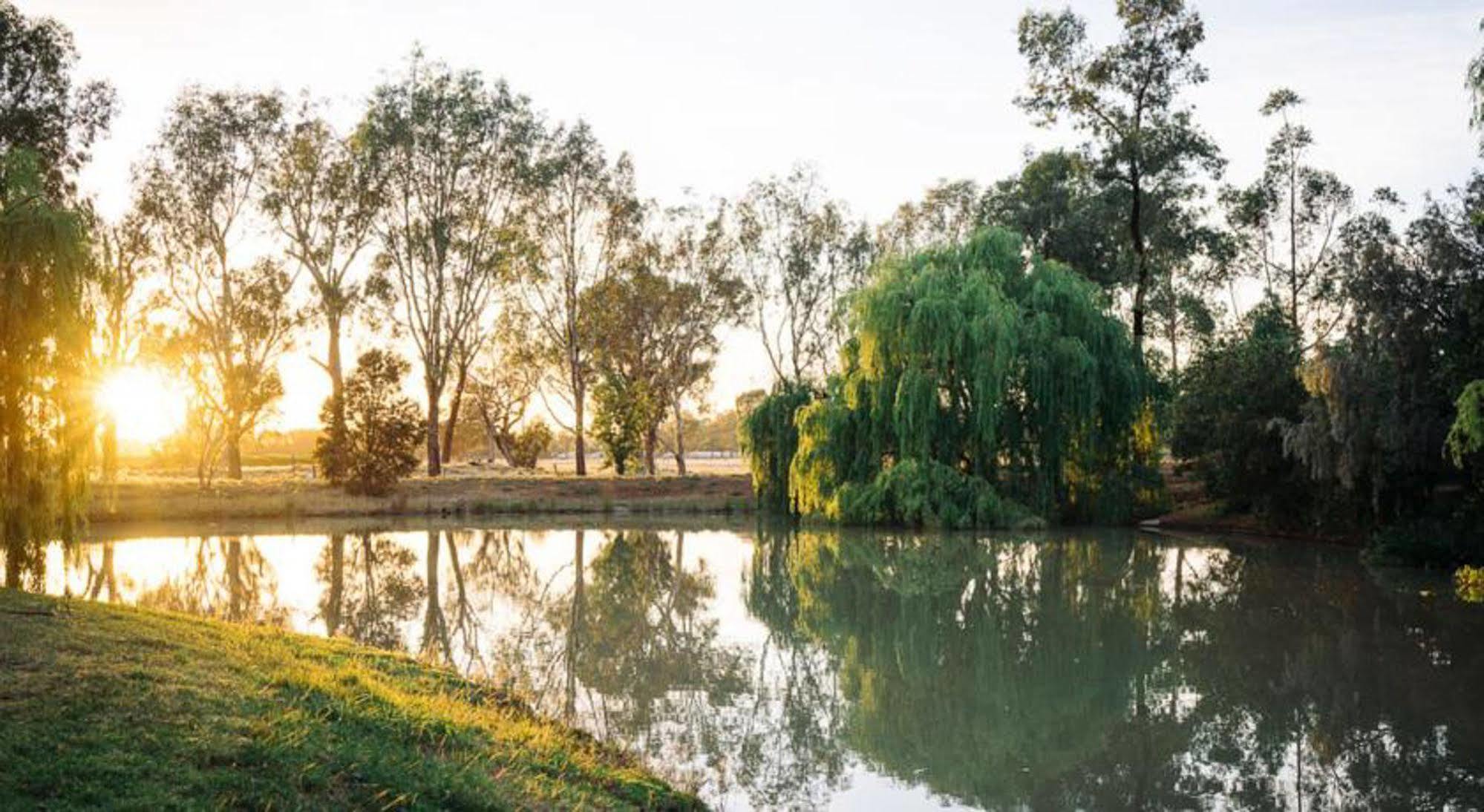 Perricoota Vines Retreat Otel Moama Dış mekan fotoğraf
